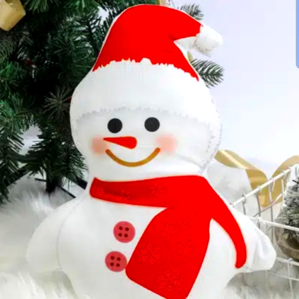 Christmas Pillow